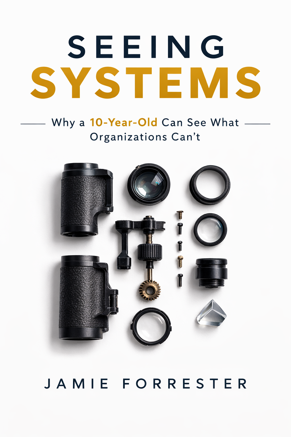 Cover: Seeing Systems